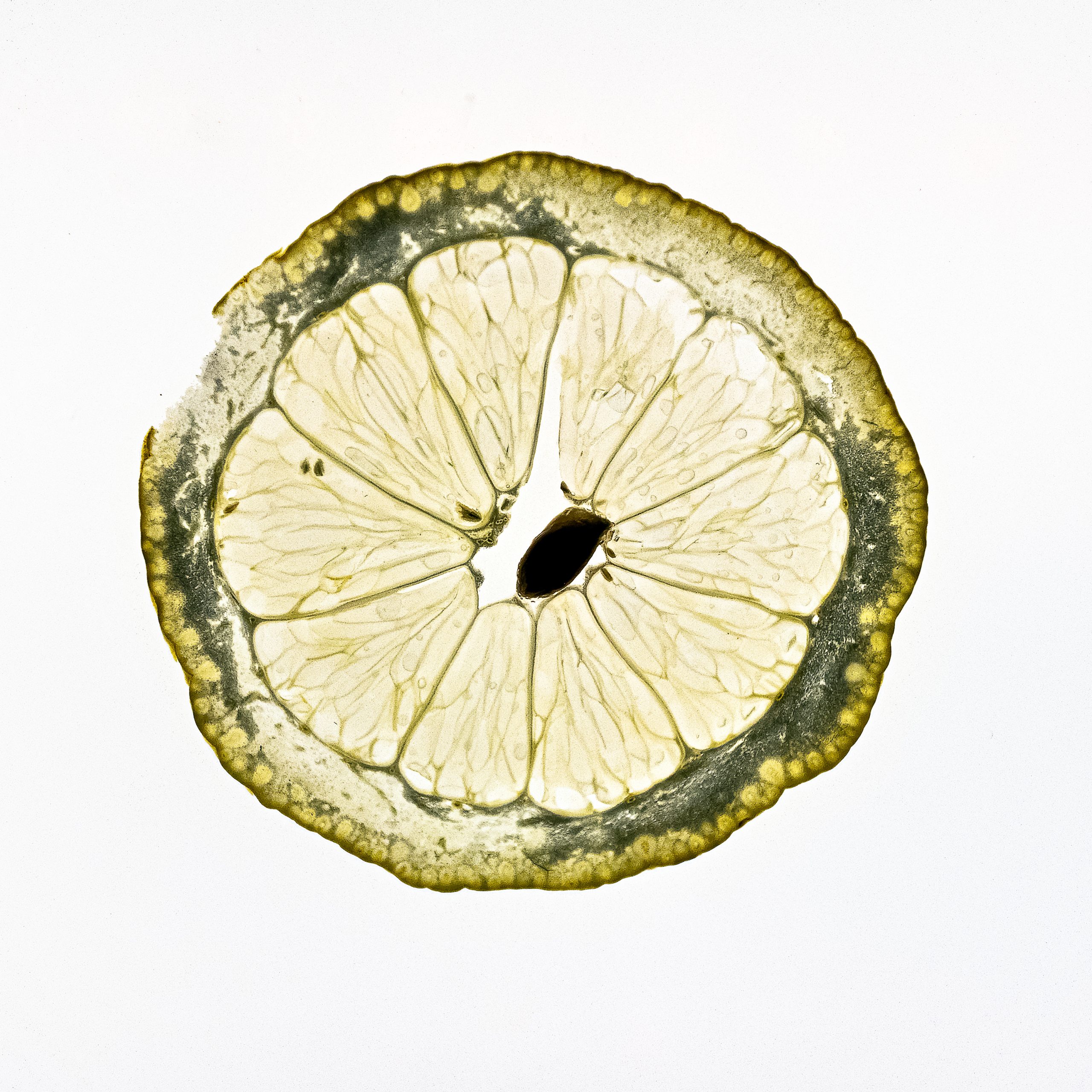 LemonOne – Ausbeutung von Fotografen?